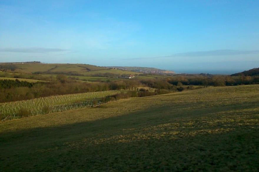 Forget-Me-Not -  Charming Self Catering Cottages With Sea & Countryside views