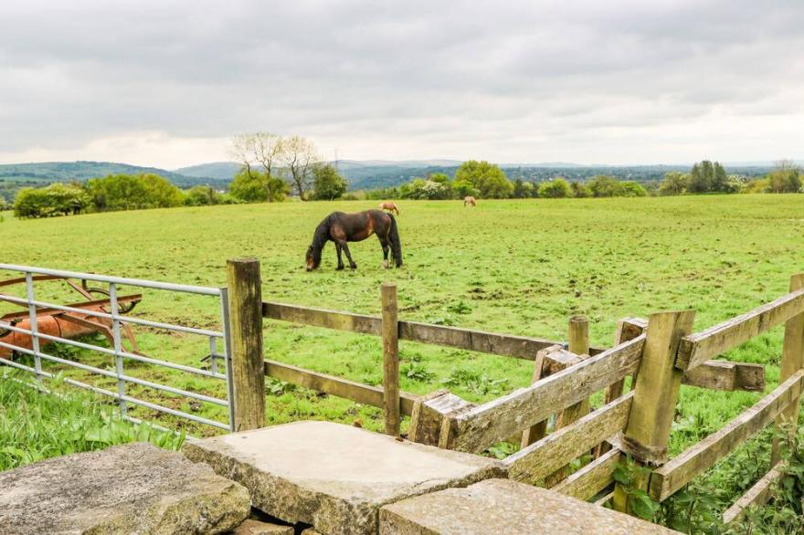 THE BARN, pet friendly, character holiday cottage in Compstall