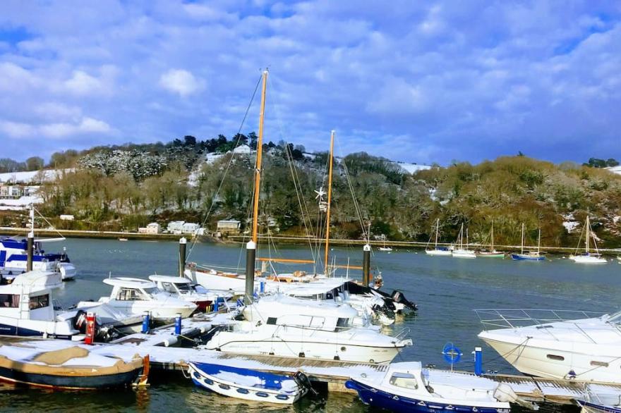 SEAHORSE DARTMOUTH DEVON