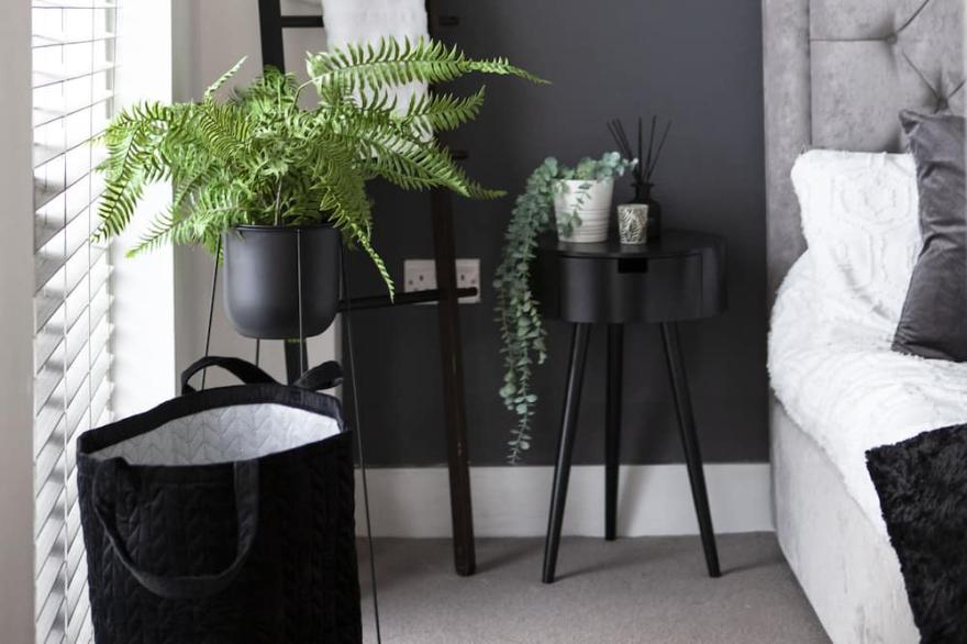 Modern City centre apartment. Roof top garden