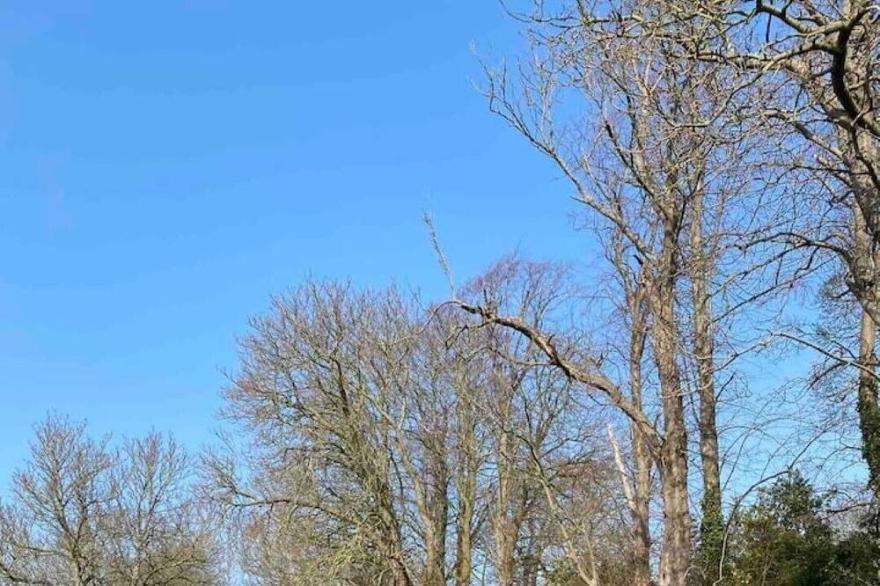 Beautiful, cosy cottage on market town high street
