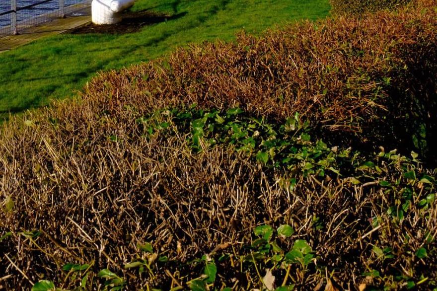 Riverside views in Ayr. (sleeps 4)
