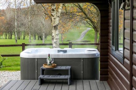 Chestnut, 6 Fingle Glen Lodges