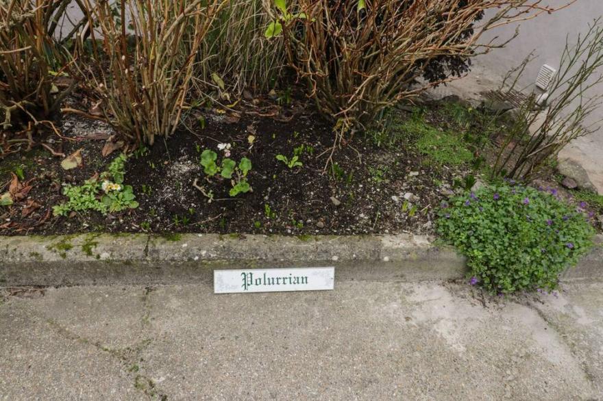 POLURRIAN, family friendly, with a garden in Mullion