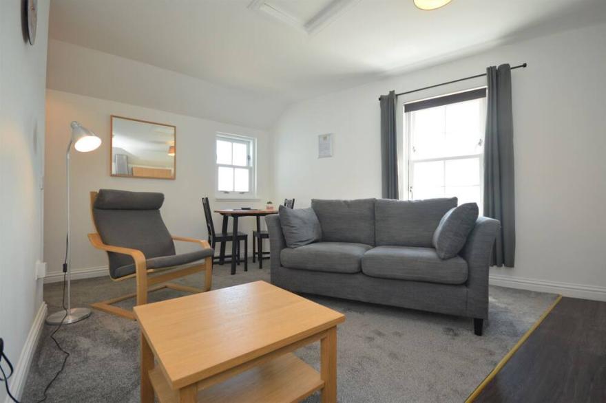 Buzzard Apartment  -  an apartment  that sleeps 2 guests  in 1 bedroom