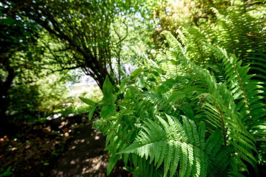 Delightful pet friendly cottage for 6