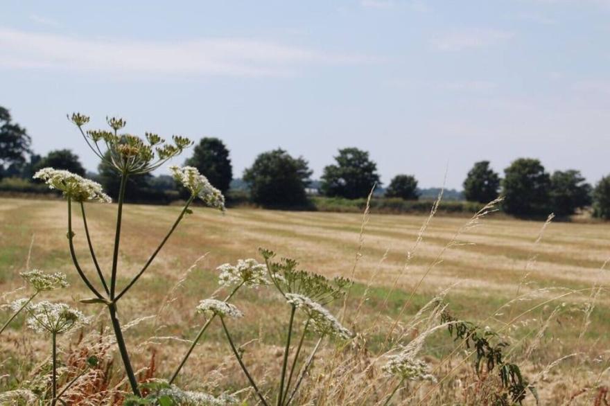 Perfect retreat for a relaxing break close to Goodwood, South Downs & Chichester