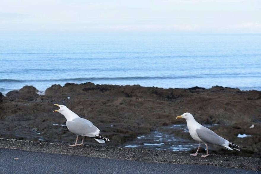 Spacious 3 bedroom house with sea views, 3 minute walk from the beach