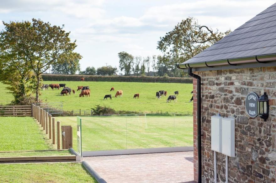 2 bedroom accommodation in Ashwater, near Holsworthy