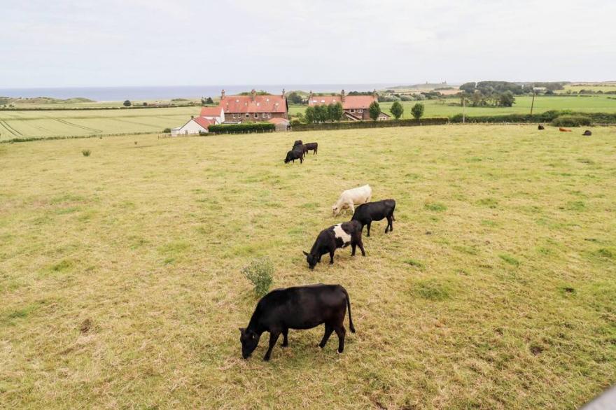 LINKS VIEW, pet friendly, with a garden in Embleton
