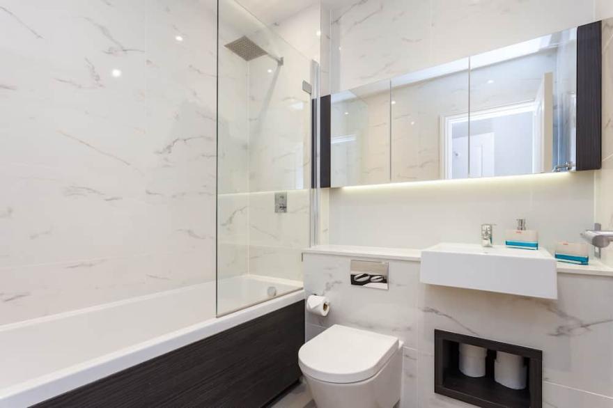 Luxury New central London apartment