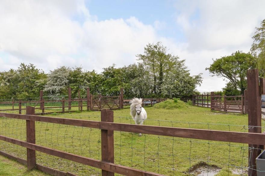 1 bedroom accommodation in Out Rawcliffe, near Fleetwood