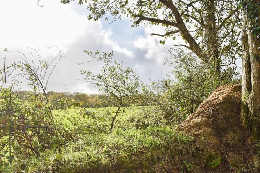 3 bedroom accommodation in North Tamerton, near Bude