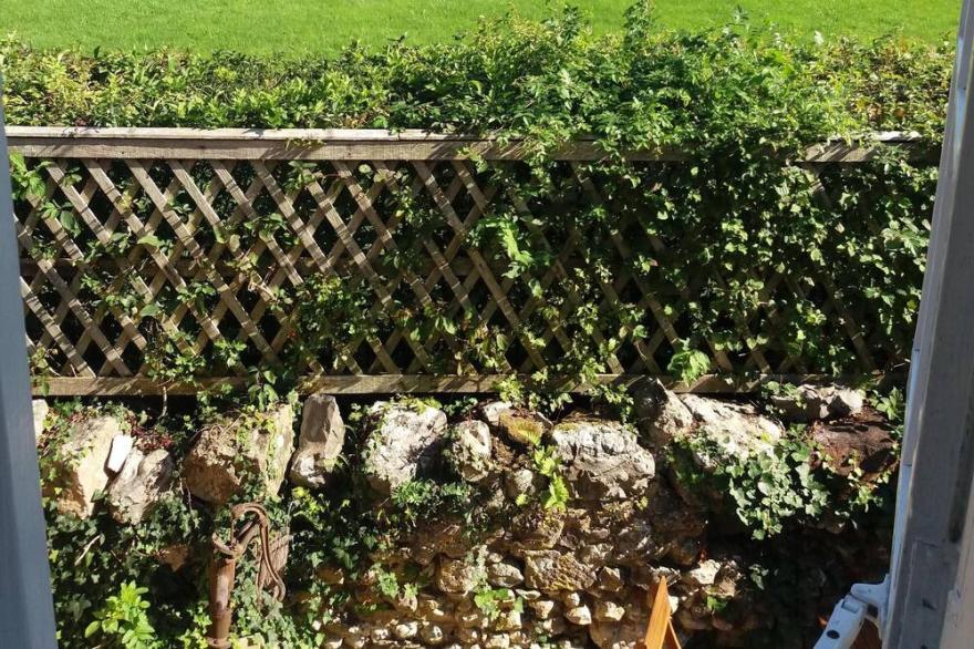 Fossil Cottage -  Restored stone cottage in idyllic location