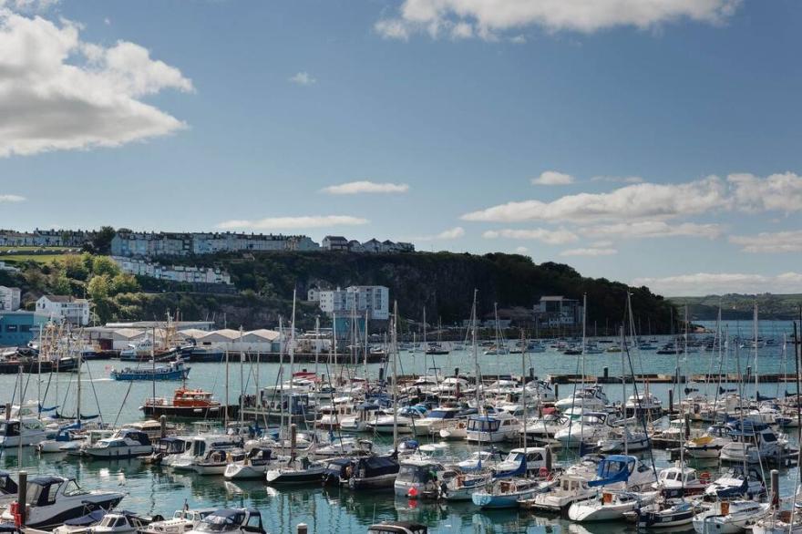 1 bedroom accommodation in Brixham