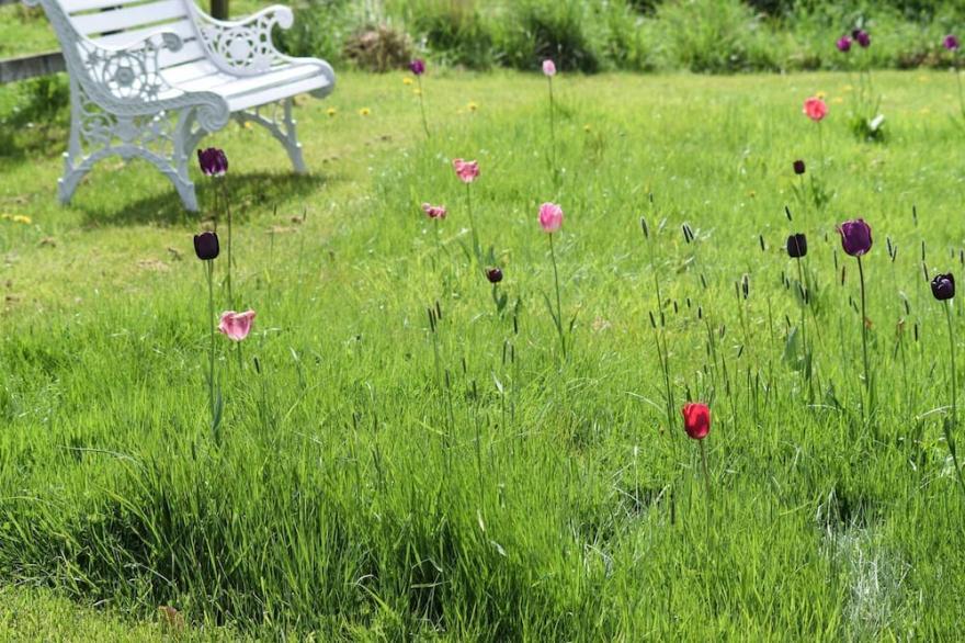 2 bedroom accommodation in Ovington, near Richmond