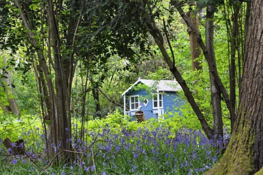 ***** Dairy Cottage *****,  Child Friendly Holidays.  DISCOUNTS available -call!
