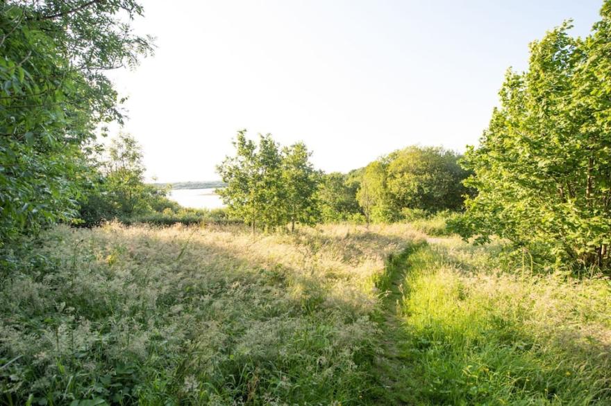 Buttercup Lodge, 33 Roadford Lake Lodges