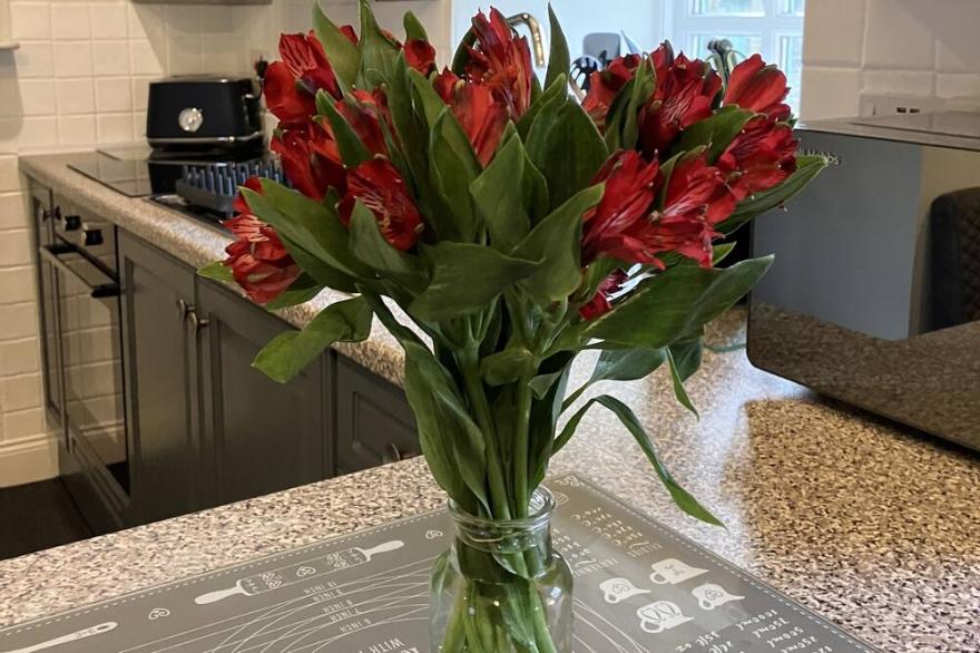 Chicken Coop Cottage- wood-fired hot tub located in the orchard
