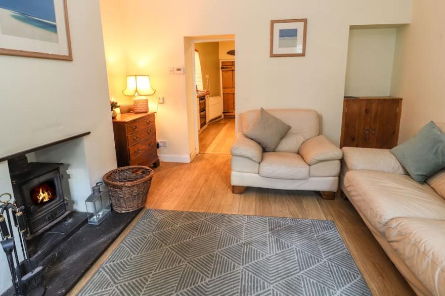 BRYN NOPHFA, pet friendly, with open fire in Flint Mountain