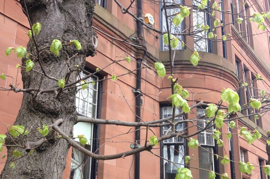 Elegant Victorian Apartment With Amazing Views In Glasgow's West End