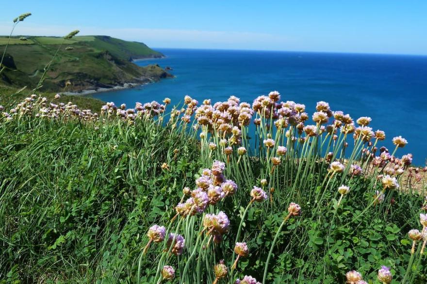 Crackington Haven, Bude, Kiberick Cottage, walk to the Beach, peace awaits