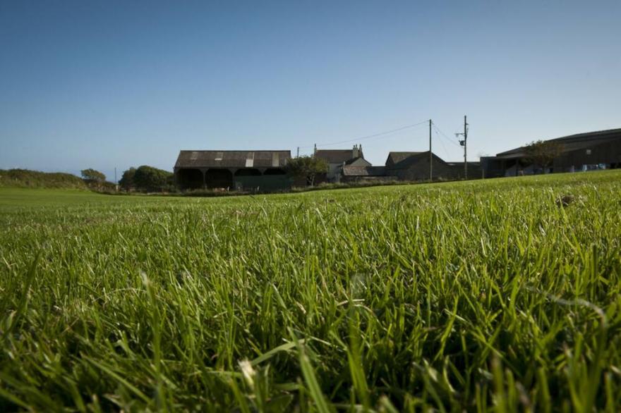 Cottage With Sea Views And Direct Access Onto Coastal Path