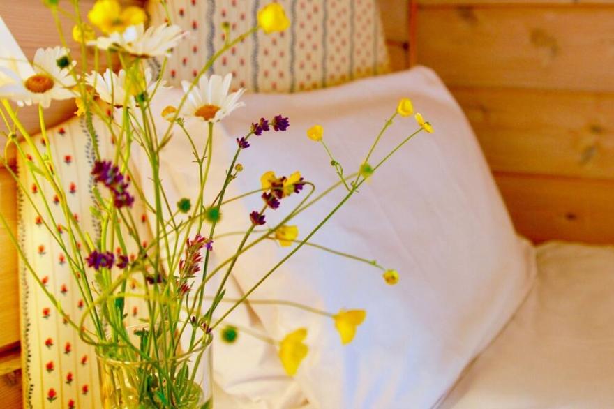 Curlew Lodge -  a fabulous and very comfortable beachside log chalet with stunning views and woodbur