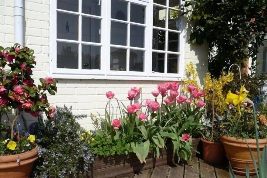 THE MEWS COTTAGE, pet friendly, with open fire in Tisbury, Near Bath