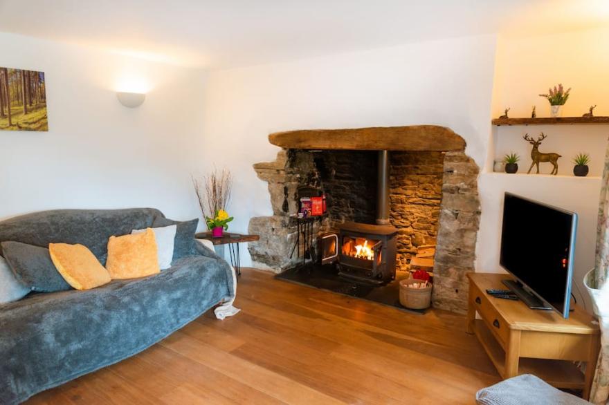 Court Cottage - Pet-friendly cottage in Devon