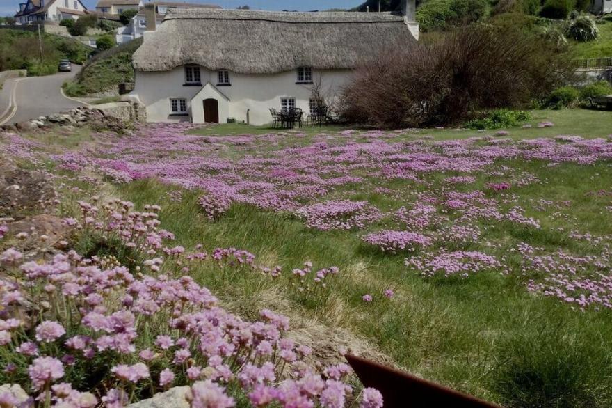 Charming thatched seaside cottage right next to the beach