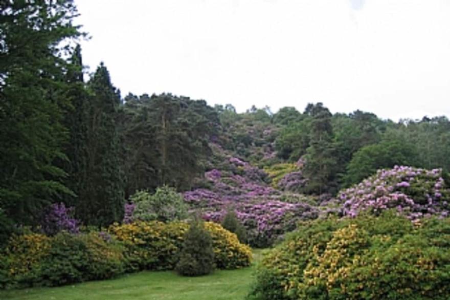 Camp Hill. Charming Cottages in Secluded Grounds of Historic Private Estate