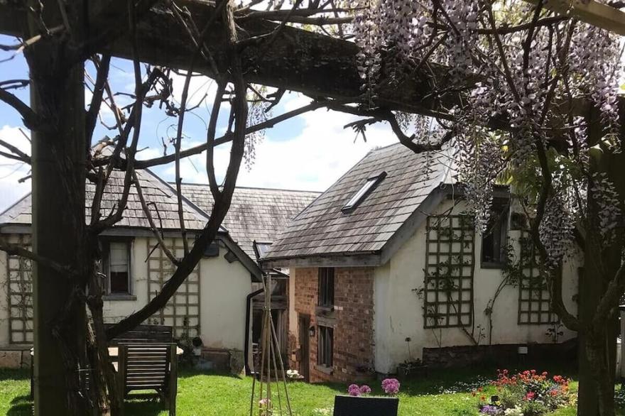 Multi Award Winning Sweet Rose Cottage. Torquay. Dogs welcome. Allocated Parking