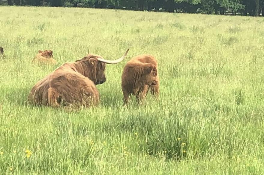 East Bothy, Attadale Holiday Cottages , Attadale, Strathcarron, Ross-shire