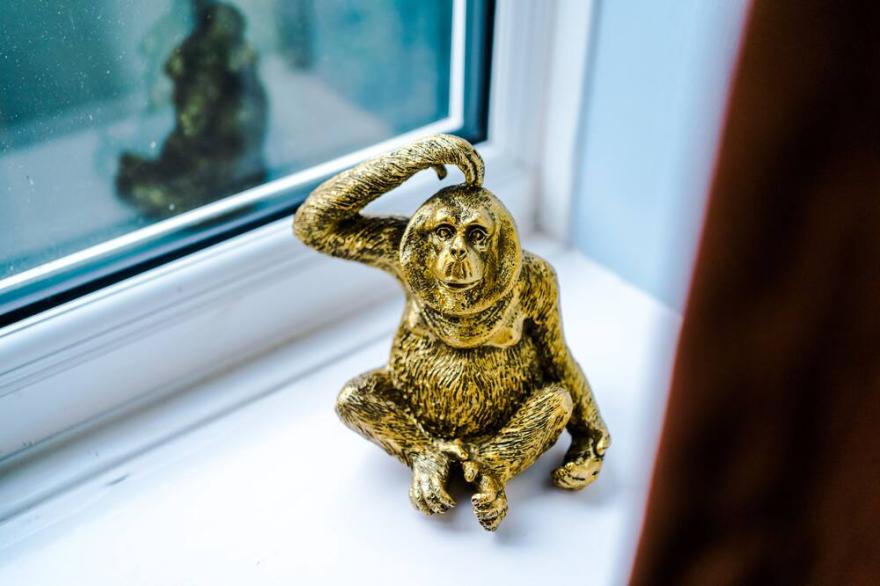 Unique & Special, jungle themed apartment - perfect for animal loving families