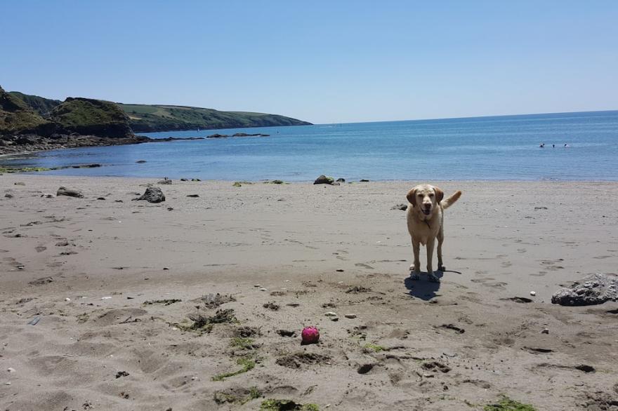 Walk to beach, village location, near Fowey and Eden Project