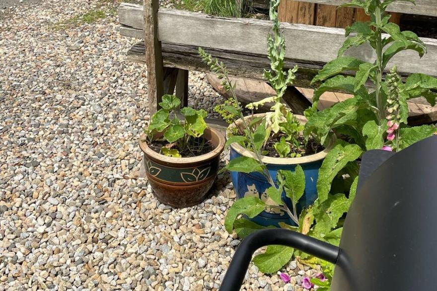 THE RAFTERS COTTAGE SLEEP 3 S/C  B&B NEXY TO FOX COVERT PUB YARM QUIRKY