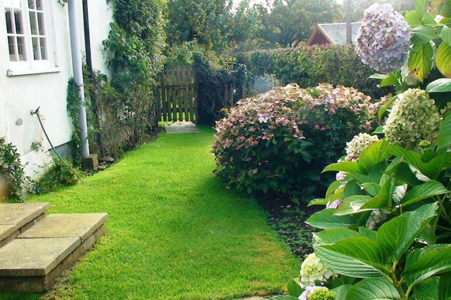 Pretty cottage with direct access to The New Forest