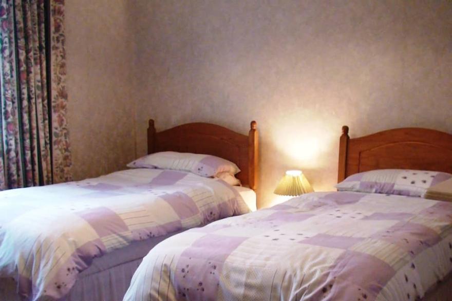 Pretty cottage with direct access to The New Forest