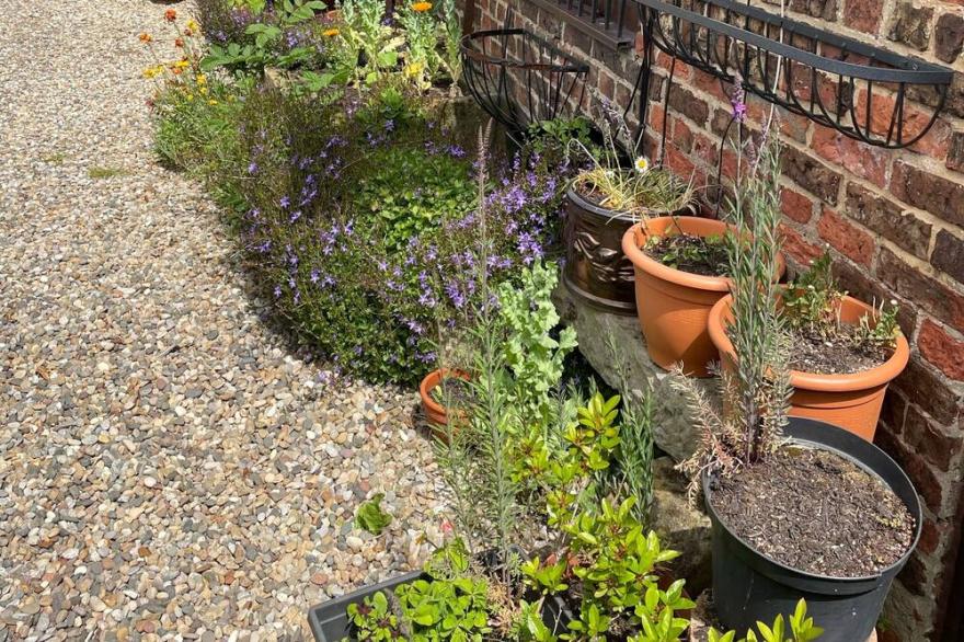 Paddock / Hayloft - Sleep/4 adjoining bed room en suites fridge /microwave/