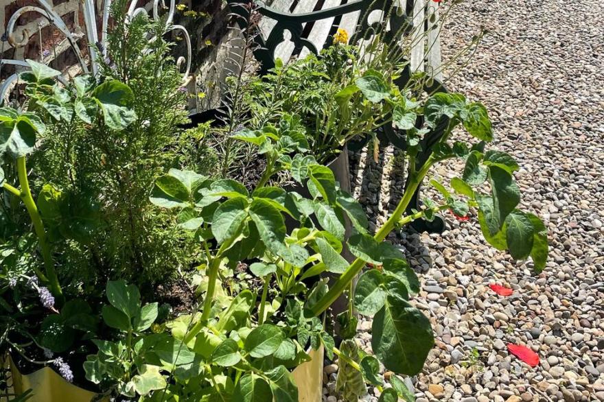 THE BYRE COTTAGE SLEEPING 4<br>NEXT TO FOX COVERT PUB YARM<br>B&B. S /C.