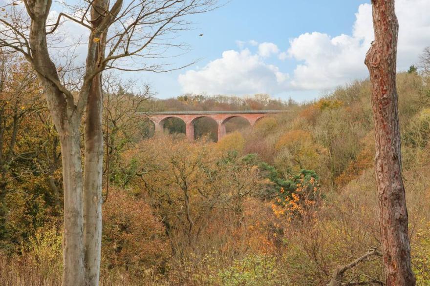 ORCHID LODGE, pet friendly, with a garden in Saltburn-By-The-Sea