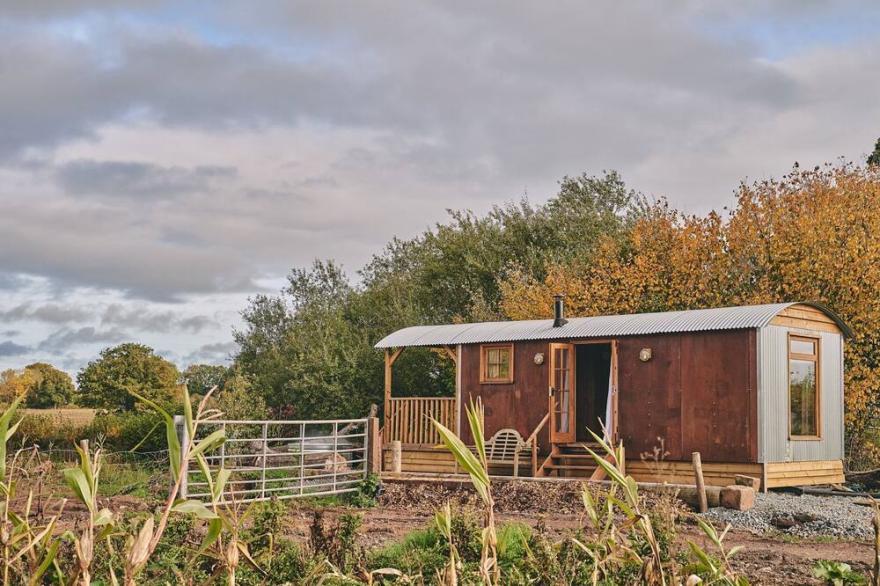 Big Sky Hideaway - Luxury Cottages