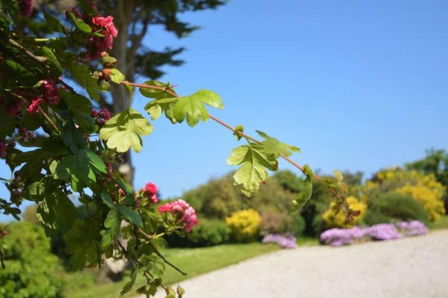 Apartment Treveglos in Wadebridge - Padstow - 4 persons, 2 bedrooms