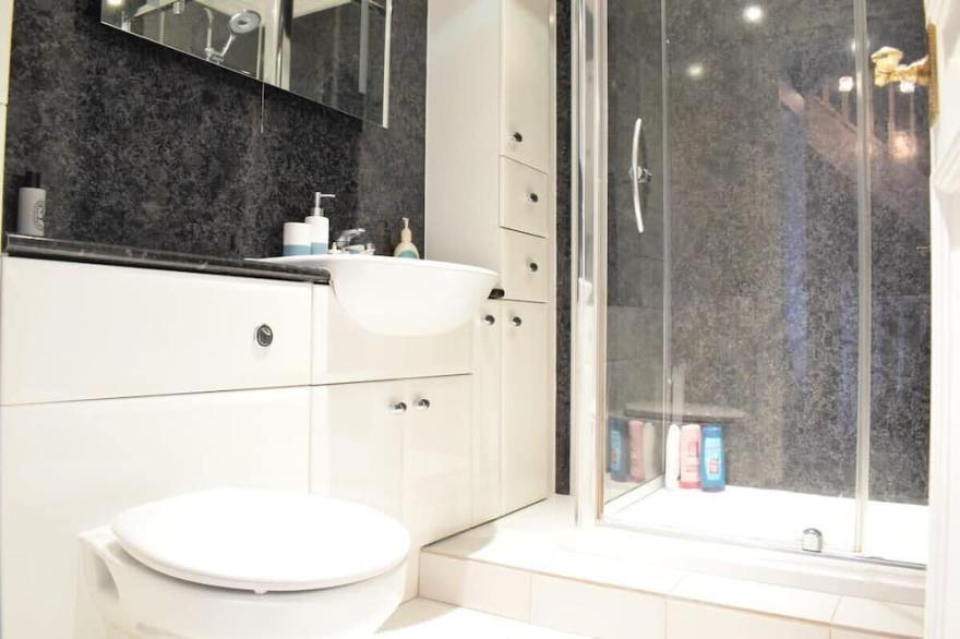 Spacious and Stylish 1 Bedroom Flat near Chelsea