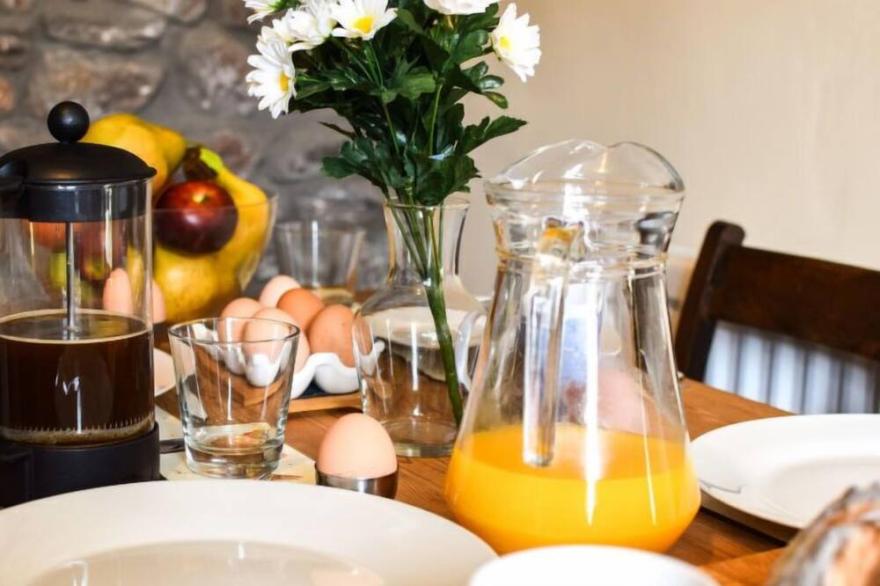 Vacation home Eithrin Fach in Brecon - 4 persons, 2 bedrooms