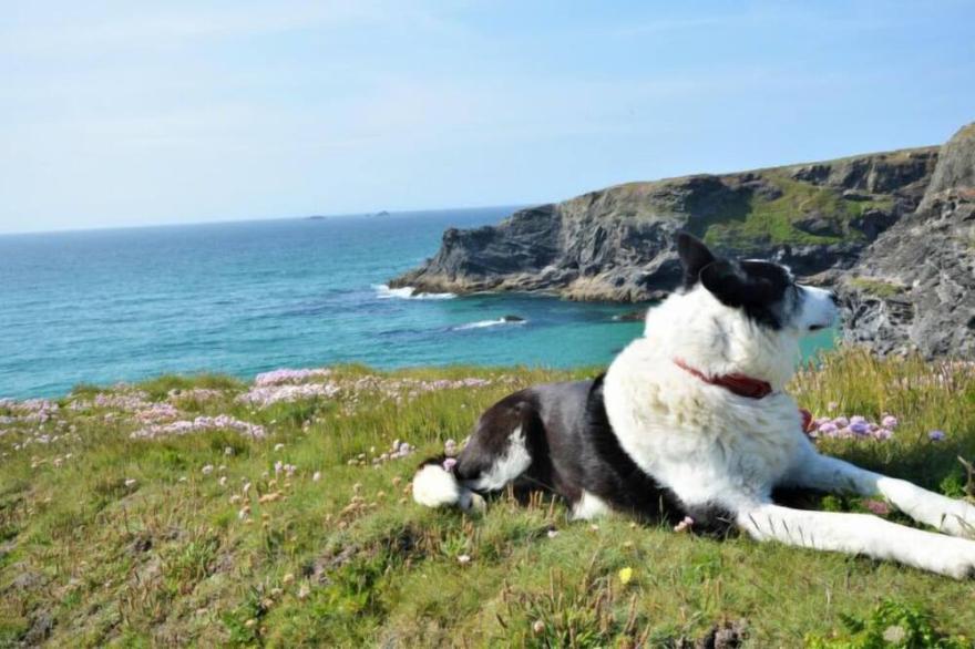 Vacation home Lilac in Wadebridge - Padstow - 4 persons, 2 bedrooms