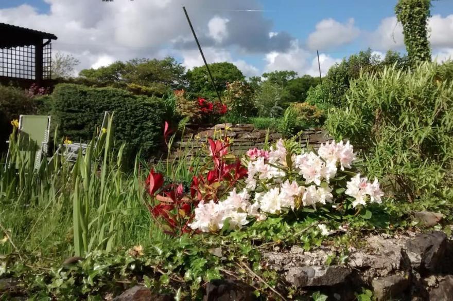 High quality lodge, well placed for exploring all corners of Devon & Cornwall