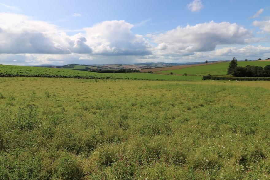 TIORE, family friendly, character holiday cottage in Kelso