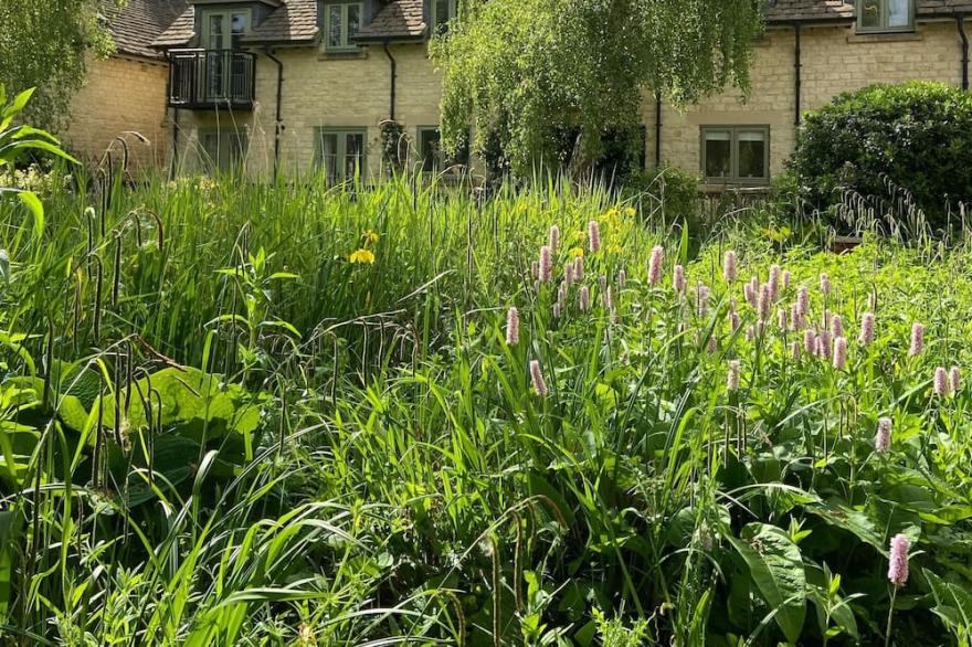 Cosy Cotswolds style cottage in a stunning location on the Lower Mill Estate